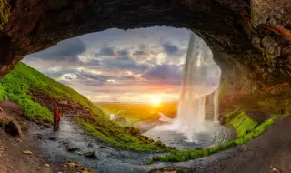 Комари в Исландия и още: как климатичните промени разболяват