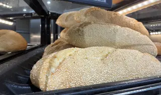 Скъпият дизел обрича хлебозаводите в Северна България на фалит