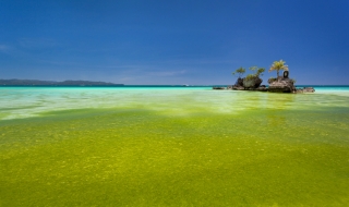 Плажовете във Филипините позеленяха. Вижте защо.