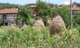 Пустеещите земи административно ще се дават на арендатори