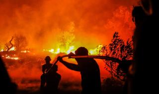 Страшни пожари в Португалия