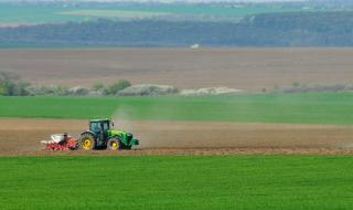 Пшеничните посеви са в критично състояние заради сушата