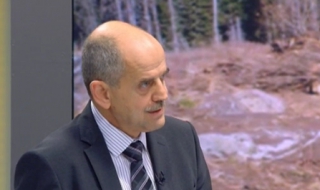 Изсечената гора на Витоша ще бъде възстановена