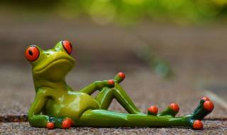 Притча за жабата