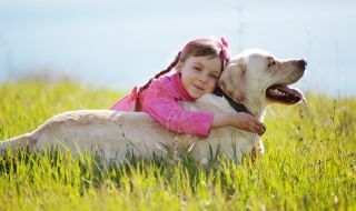 Училище в София бори стреса при децата с кучета