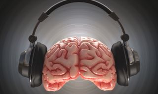 Защо мозъкът ни се радва на музиката, разкри ново проучване