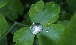 Времето днес, прогноза за понеделник, 17 април: Облачно, ще вали