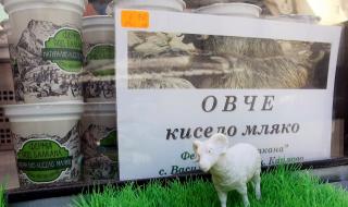 14 български фирми изнасят млечни продукти за Китай