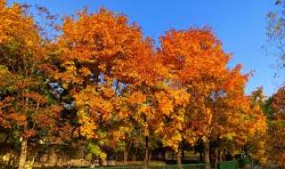 Слънчева и топла неделя