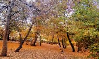 Мъгла на север, слънчево в планините