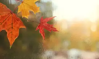 Времето днес, прогноза за петък, 7 ноември: Облачно. Валежите продължават