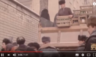 Вася Обломов: И над Русия само Бояришник ще расте (Видео)