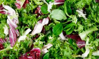 Вижте кои са най-полезните за здравето храни