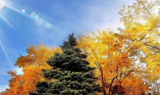 Седмицата започва със слънце