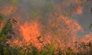 Отново пожари: Община бедства заради огнен ад (Снимки)