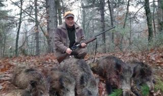 Рекорд: Авджия повали 5 диви прасета с 4 изстрела в Крумовградско! (СНИМКА)