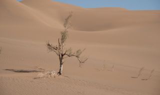 Разкриха кое е най-горещото място на Земята