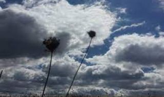 Разкъсана облачност, вятър от североизток