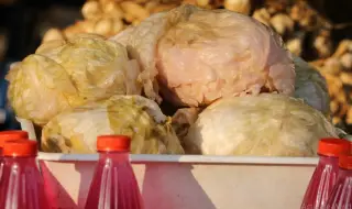 Sauerkraut will come to us at the same price as last year 