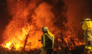 Catastrophic forest fires have been common in the European Union in recent years 