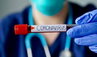 Китайски учени с интересно откритие за коронавируса