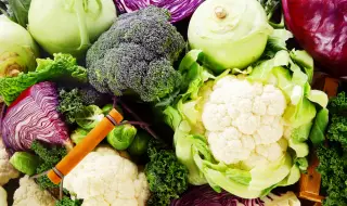 Най-подходящите зеленчуци за отслабване