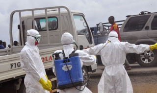 Преборват ебола до месеци