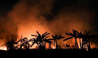 В бразилска Амазония бушуват най-големите пожари от 13 години 