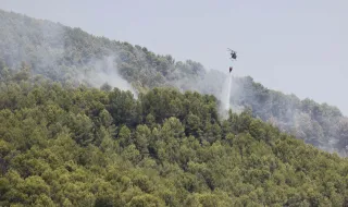 Пожари застрашиха жилищни сгради край Требине, босненската армия се включи в гасенето