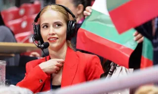 Установиха кой е хвърлял бетонните парчета по автомобила на Невяна Владинова
