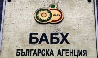 Новият шеф на БАБХ: "Евролаб" по никакъв начин няма да работи на "Капитан Андреево"