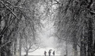 Мразовити сутрини