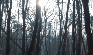 Синоптиците обещават слънце