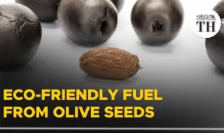 Spain makes fuel from olive pits 