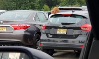 7 минути за излизане на заден ход