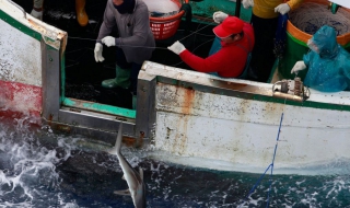 Мароко изгони риболовните кораби на ЕС