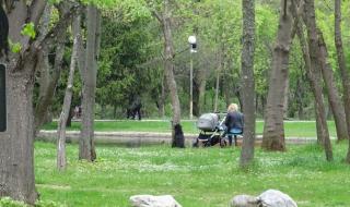 София подготвя алтернативно обезщетение за частни терени в зелени площи