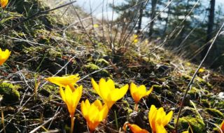 Прогноза за времето днес, 14 март: Слънчево, с разкъсана висока облачност