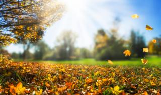 От -1 до +31 градуса през октомври