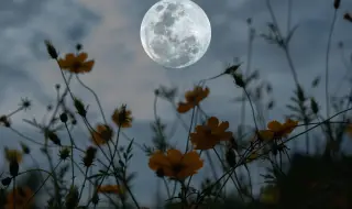 Пълнолунието нa 1 май носи късмет на тези 3 зодии