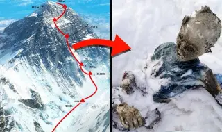 Свалиха четири тела и един скелет от Еверест