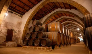 30,000 bottles of Italian wine worth 5 million euros stolen from a winery in Tuscany