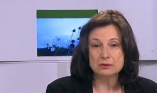 Тази година има пик на поленовите алергии