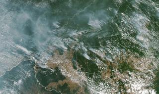Над 70 000 пожара в Амазонската джунгла