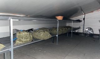 Разбиха нарколаборатория в Калугерово, откриха марихуана за 500 хил. лв.