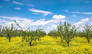Времето днес, прогноза за събота, 6 май: Слънчев Гергьовден, добри условия за туризъм
