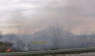 Подпалиха лозята на бившия министър Вилхелм Краус