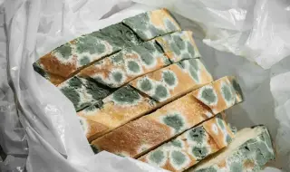 Не съхранявайте хляба в найлонова торба - мухлясва по-бързо