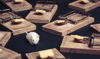 Притча: Бъдете съпричастни