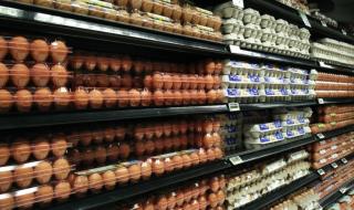 Токсични яйца предизвикаха тревога в Европа